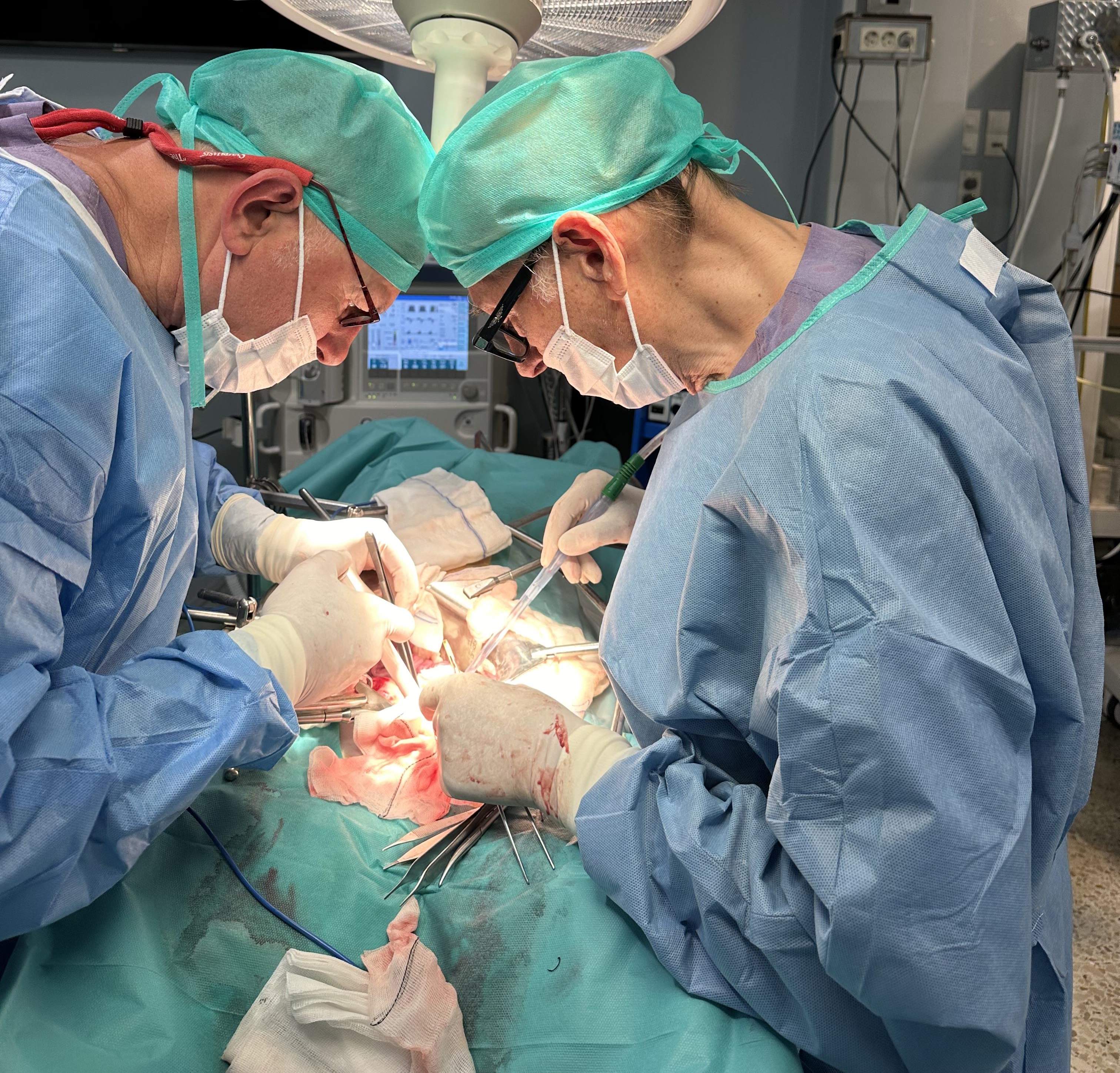 Consiguen trasplantar a cerdos riñones porcinos modificados con organoides humanos Consiguen trasplantar a cerdos riñones porcinos modificados con organoides humanos