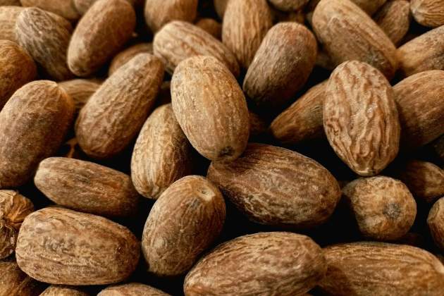 hardingferrent SHD3Wg24u6I unsplash hardingferrent SHD3Wg24u6I unsplash