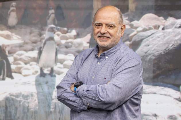 Entrevista Sito Alarcón, Director Zoo Barcelona / Foto: Carlos Baglietto Entrevista Sito Alarcón, Director Zoo Barcelona / Foto: Carlos Baglietto