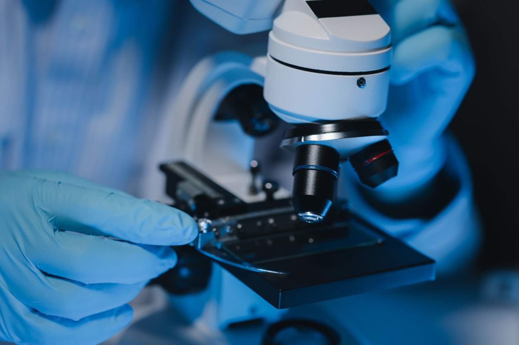 L'estudi d'IVI RMA Research guanya el premi al Millor Treball al Congrés ASRM 2025