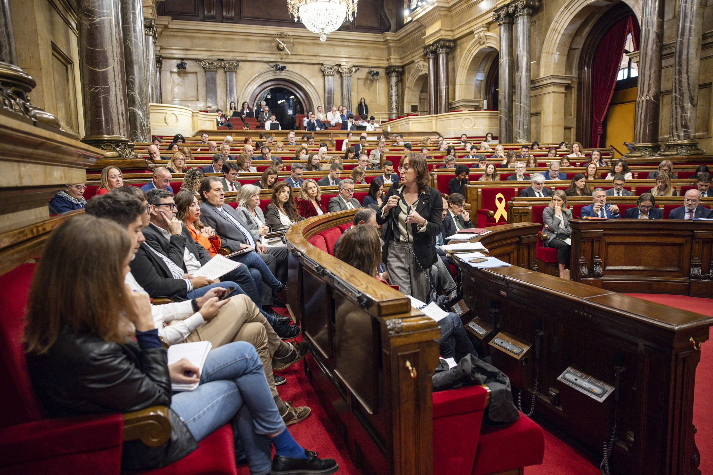 Aprovada la llei que elimina l'obligació de cita prèvia a l'administració i reconeix el dret a l'error