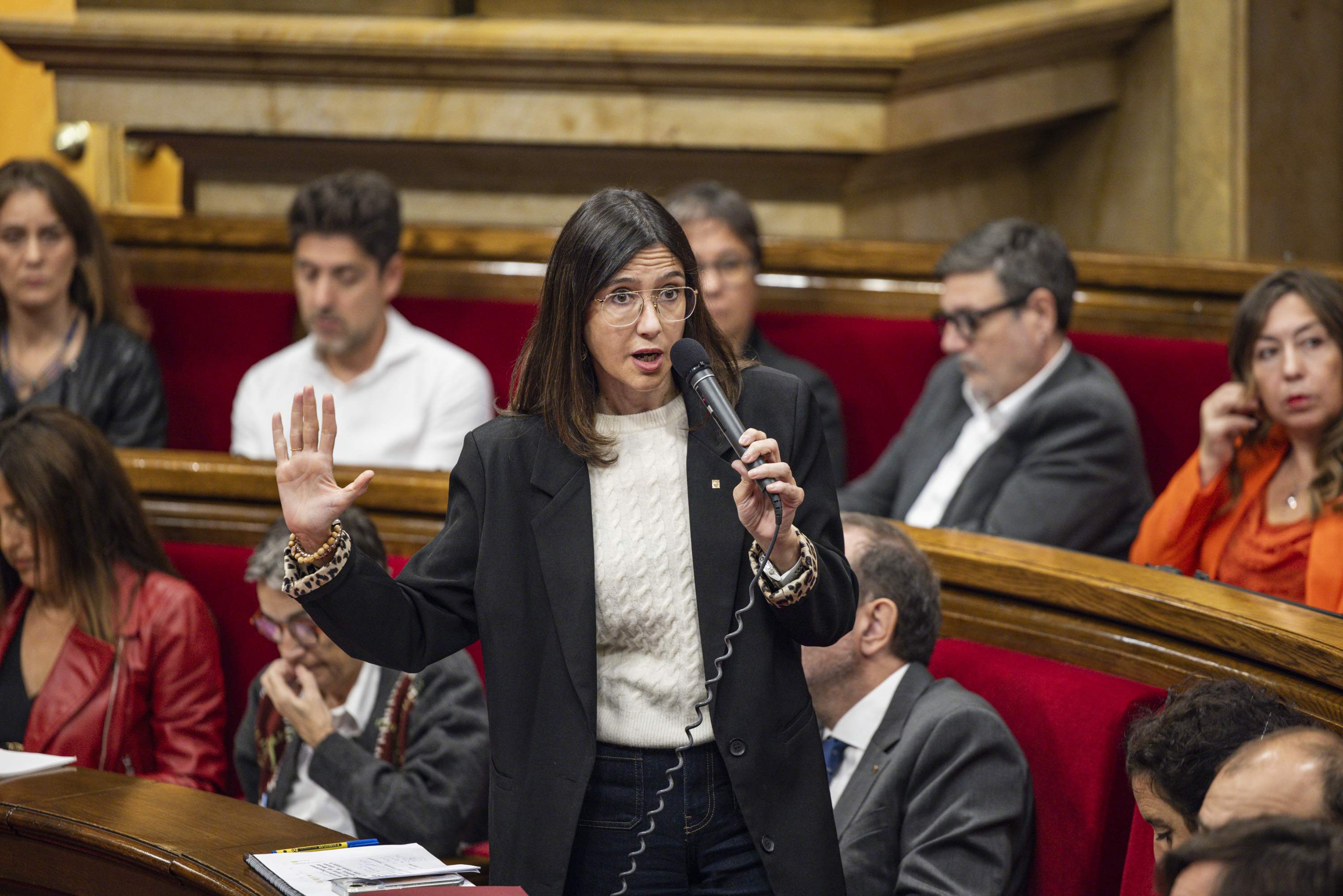 Parlon nega que Trapero mentís en el cas del manifestant a Montserrat i rebutja una conspiració contra l'ANC