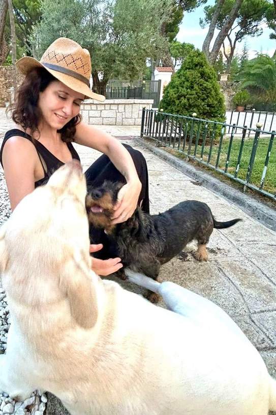 isabeldiazayuso 1751629025 3669252665549155942 469583832 isabeldiazayuso 1751629025 3669252665549155942 469583832