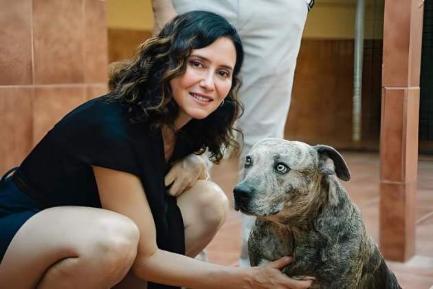 isabeldiazayuso 1754312872 3691766412289208387 469583832 (1) isabeldiazayuso 1754312872 3691766412289208387 469583832 (1)