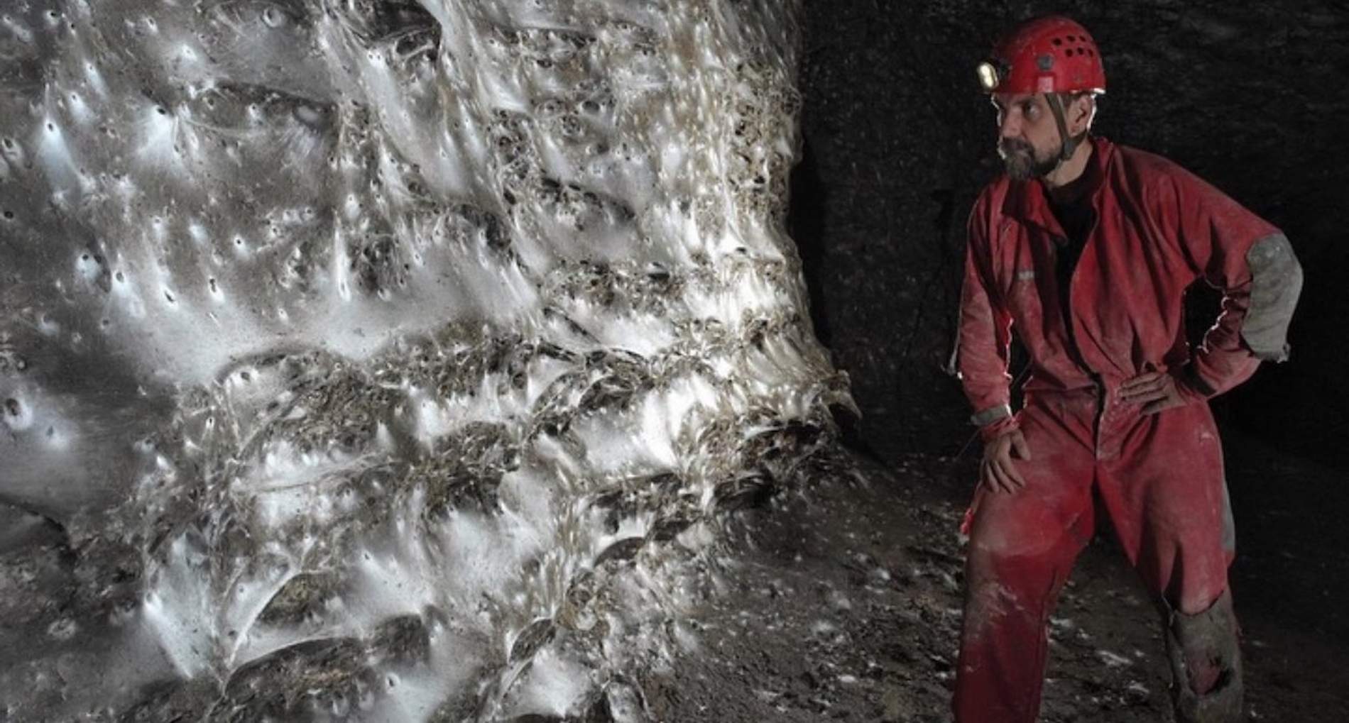 Una extraordinaria comunidad colonial de más de 110.000 arañas convive en la telaraña más grande del mundo