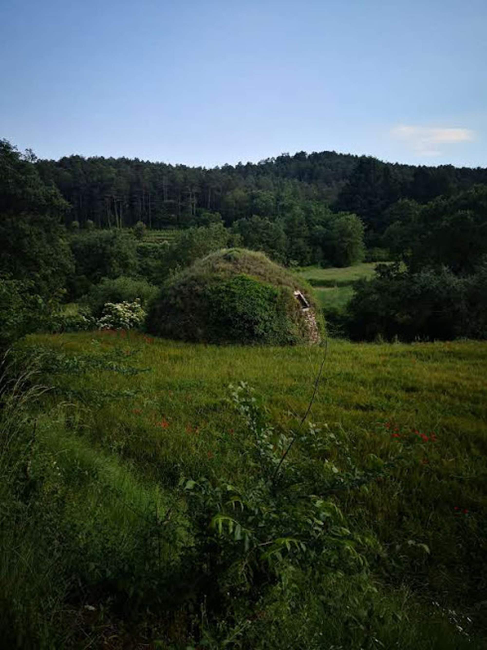 Sortida botànica: Can Revitllat