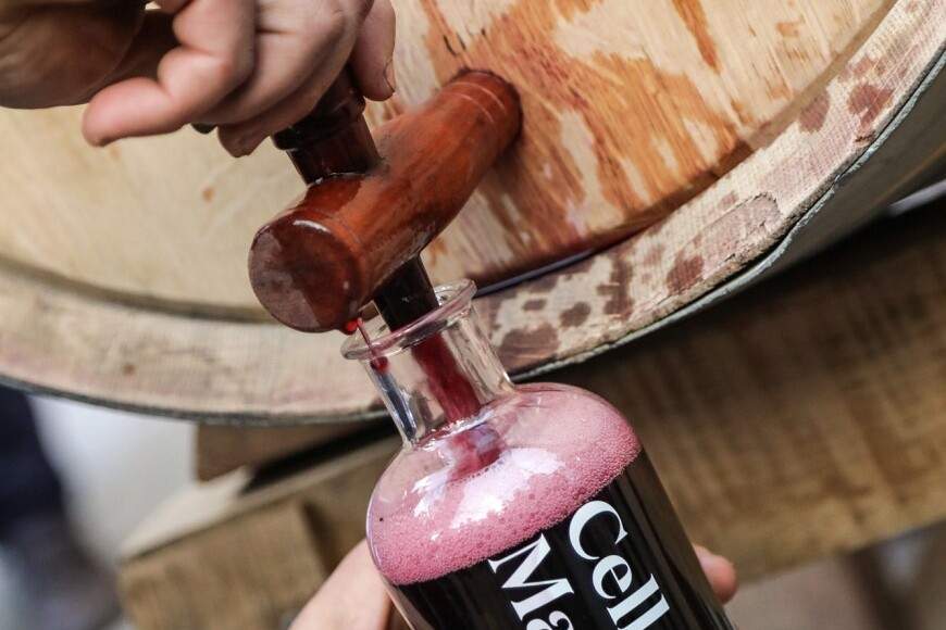 Festa del Vi Novell del Celler Masroig