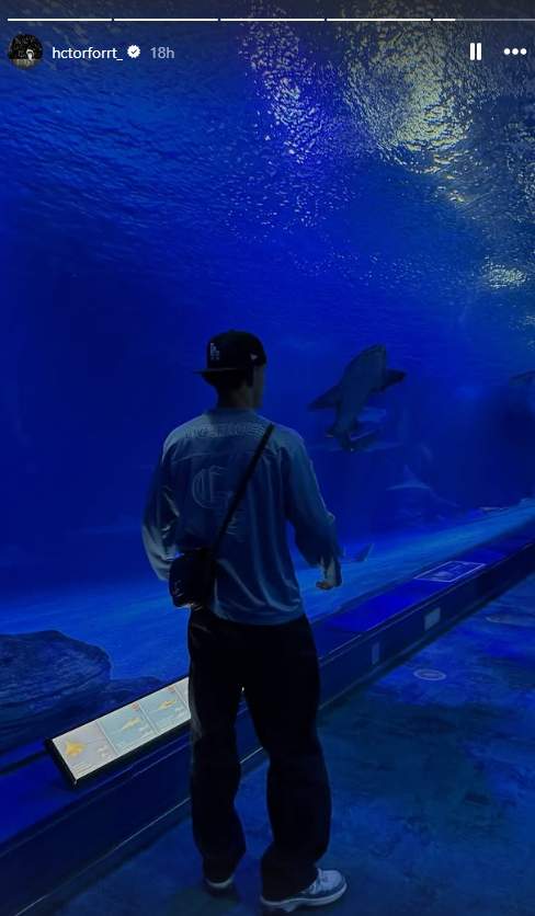 Fort en el acuario   Instagram