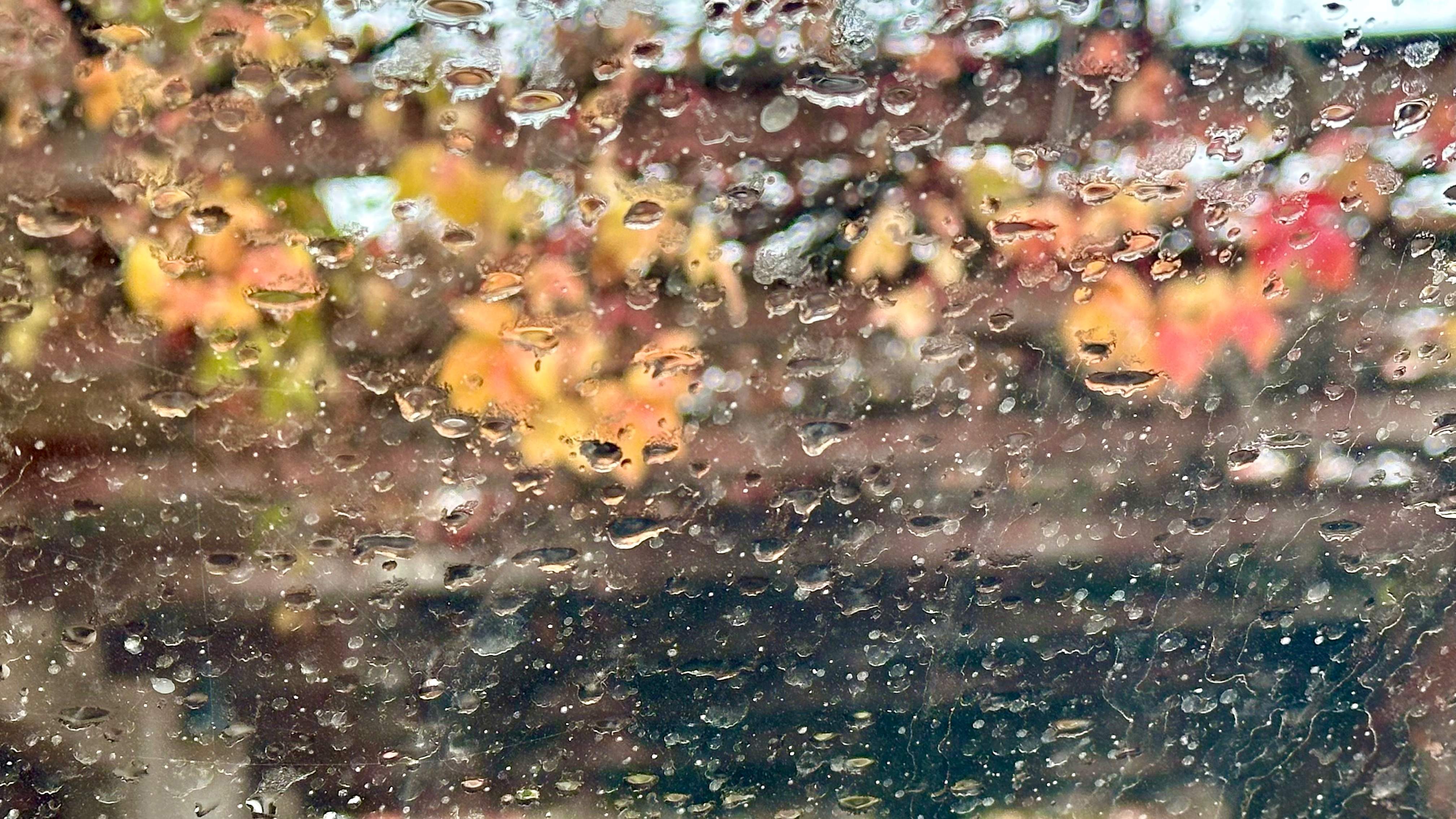 La lluvia no abandona Catalunya: pequeña tregua antes de una nueva tanda de chubascos generales