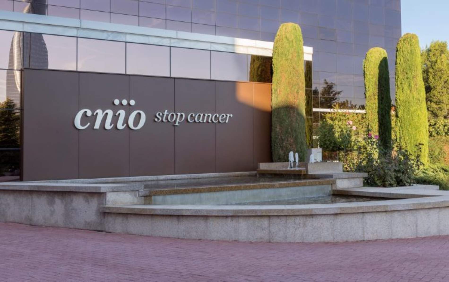 Escándalo en el principal centro español de investigación del cáncer: robo de 25 millones en 18 años