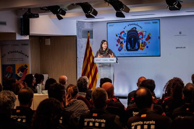 20251117 1647 SRL 4805 20251117 1647 SRL 4805