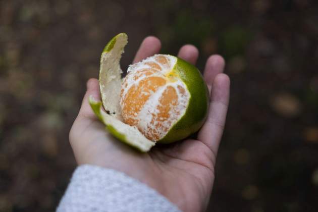 laura espana v8jAY76lWYQ unsplash laura espana v8jAY76lWYQ unsplash