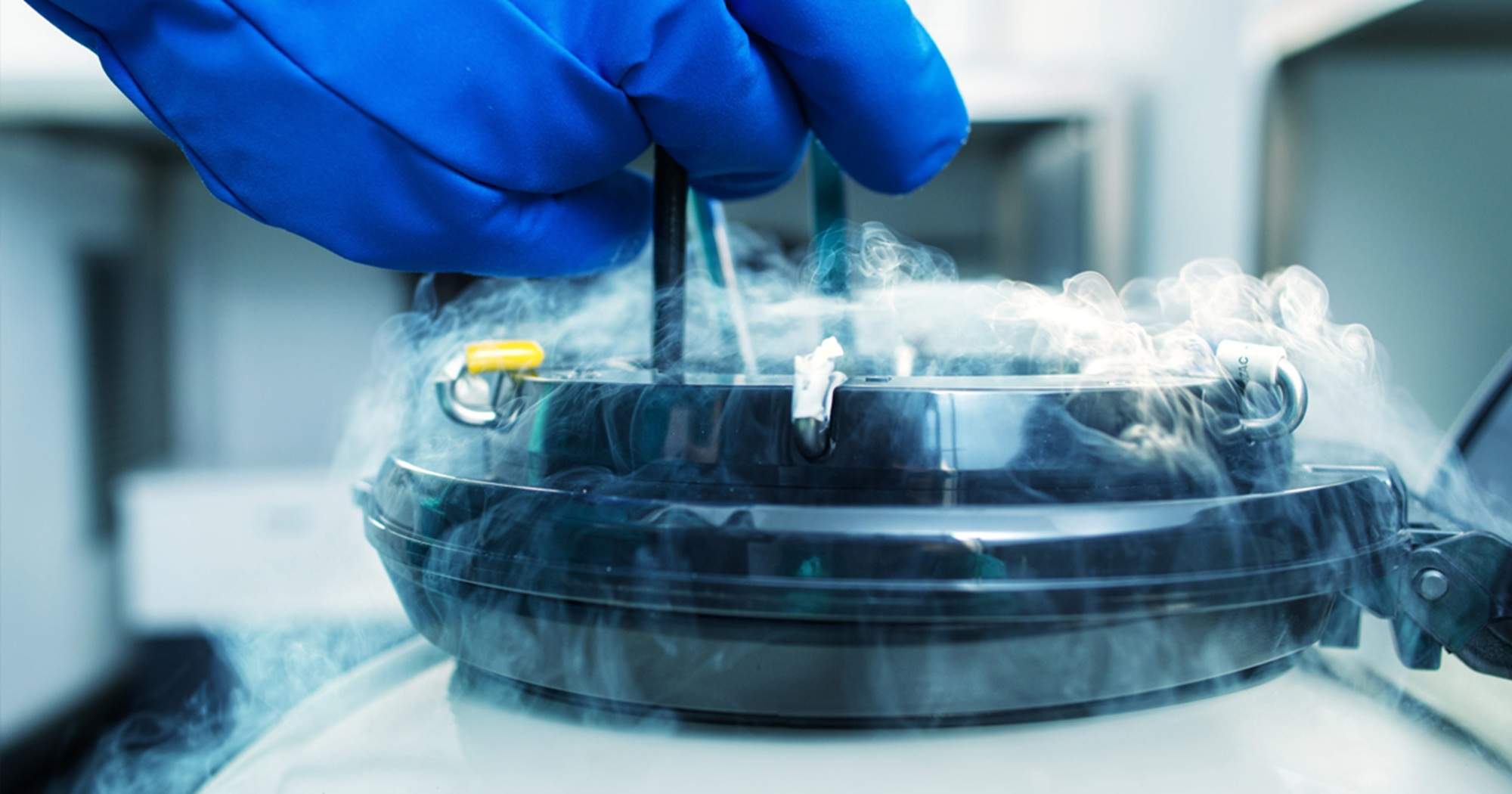 Un estudio muestra que más mujeres congelan óvulos antes, pero hacerlo a los 35 años sigue siendo tarde