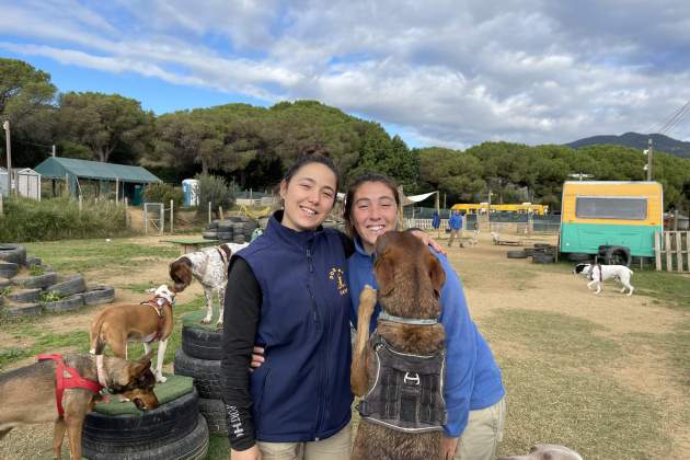 DOG DAY CAMP / Foto: Alba Richart