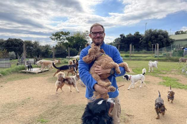 DOG DAY CAMP / Foto: Alba Richart