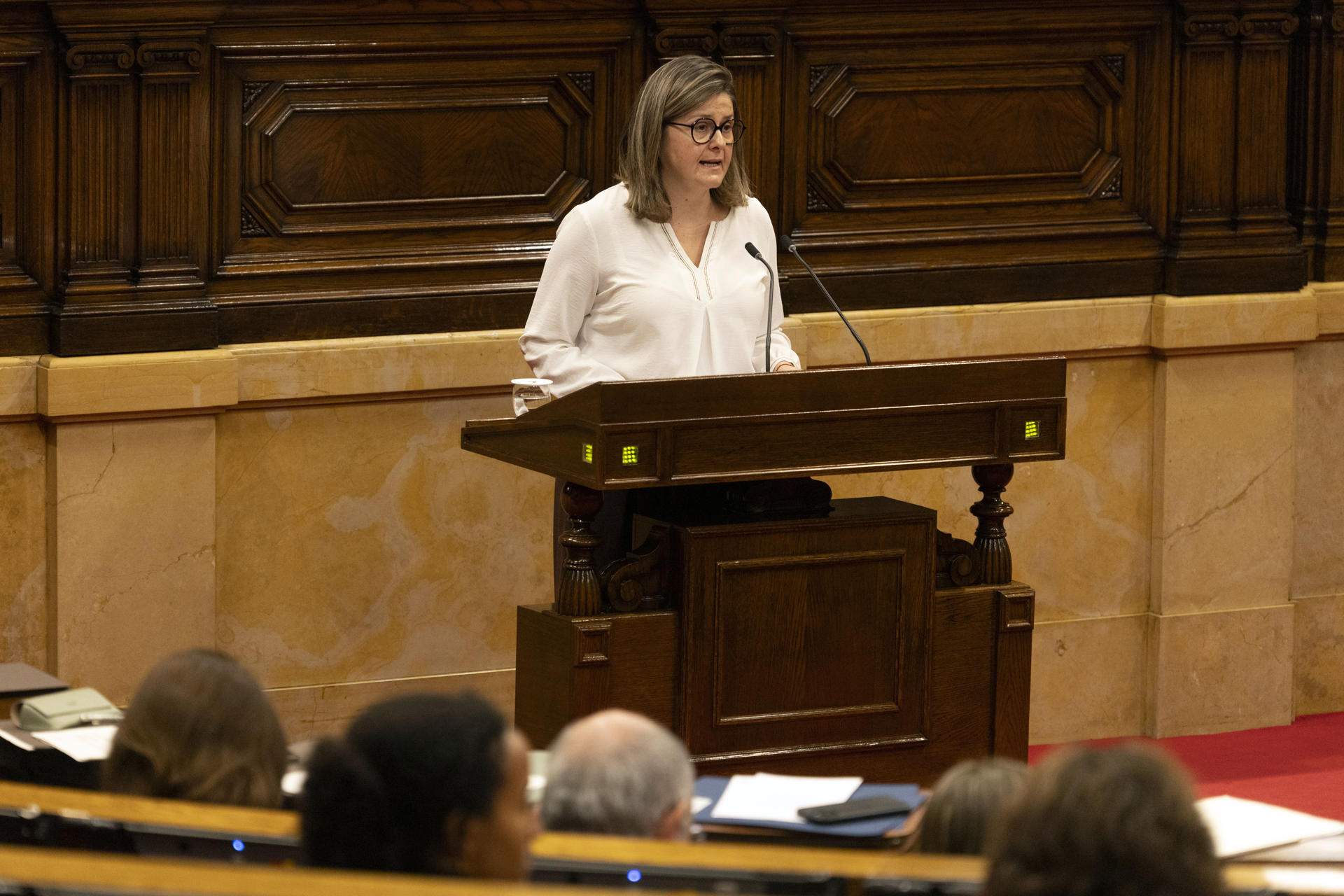 La Generalitat traspassarà la recaptació de la taxa turística de l'Aran al seu Conselh Generau