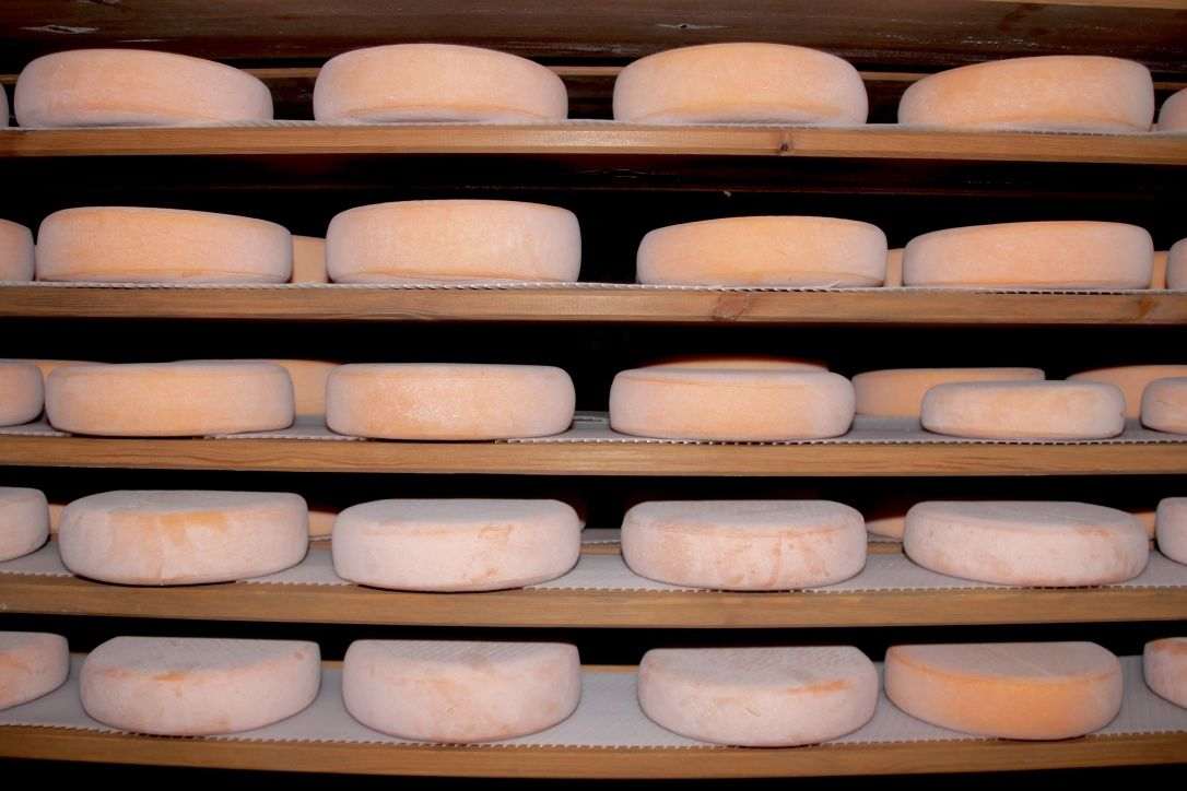 L'Alt Urgell: el paradís dels formatges