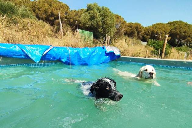 WhatsApp Image 2025 11 19 at 16.36.55