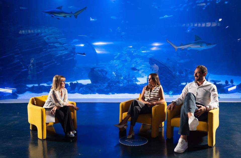 Se hace lo que se puede TVE