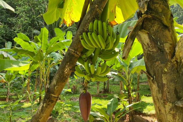 datingscout jApZVFx9bn0 unsplash