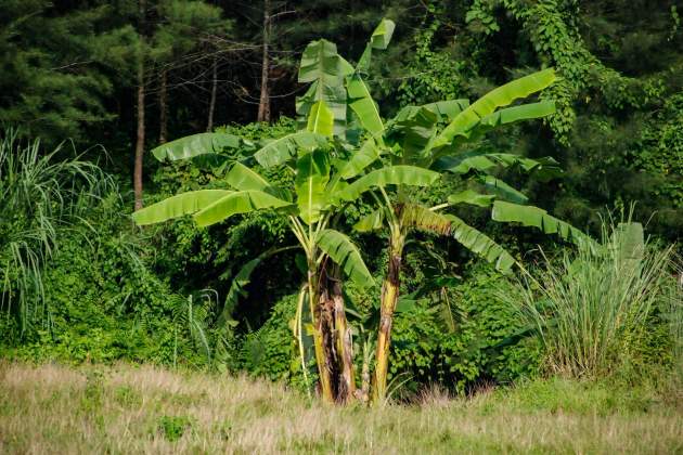 moheen reeyad Wxf WVbkxZE unsplash