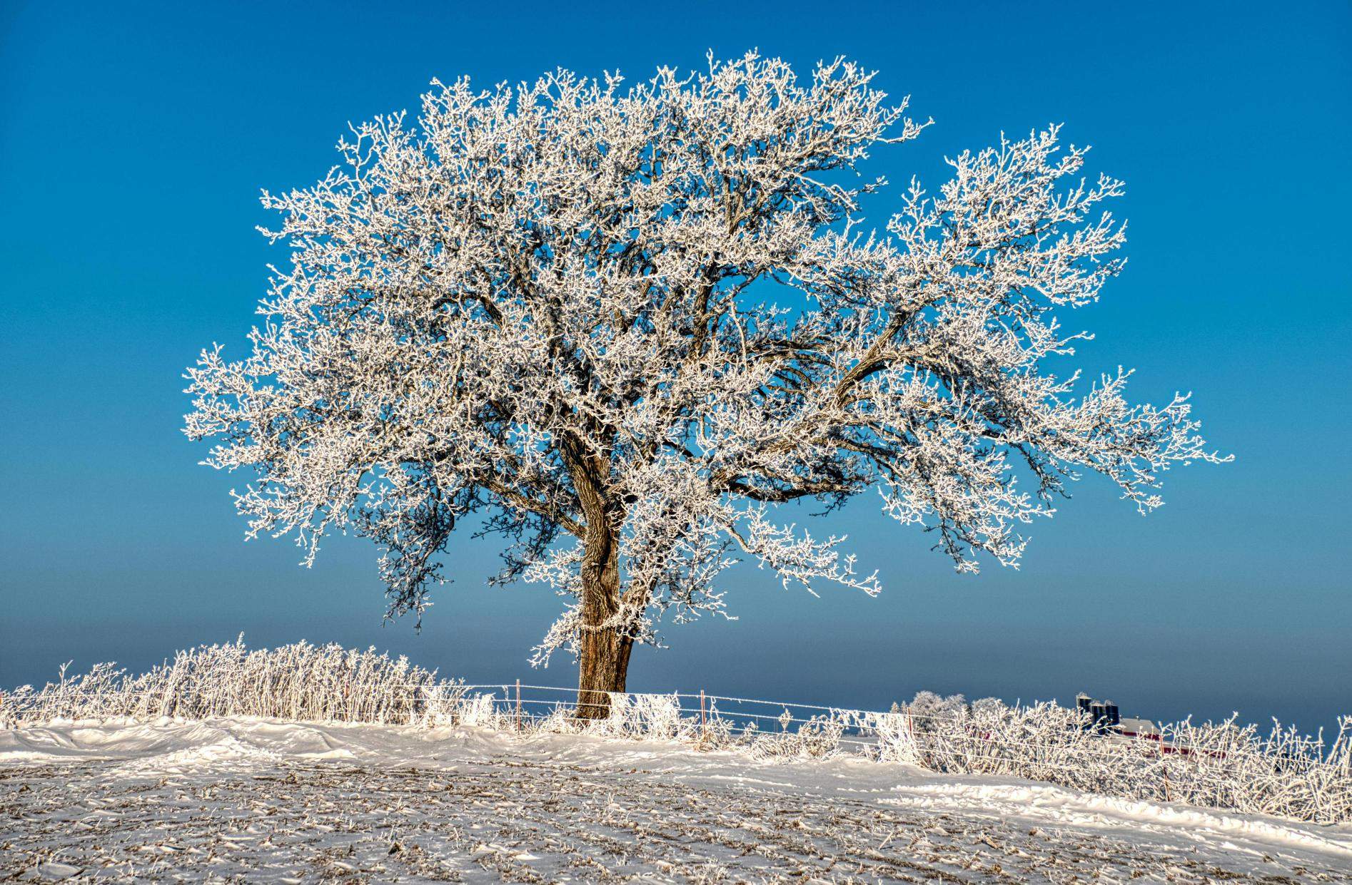 Atención, revancha del frío ártico en Catalunya con viento, nieve y algunas lluvias