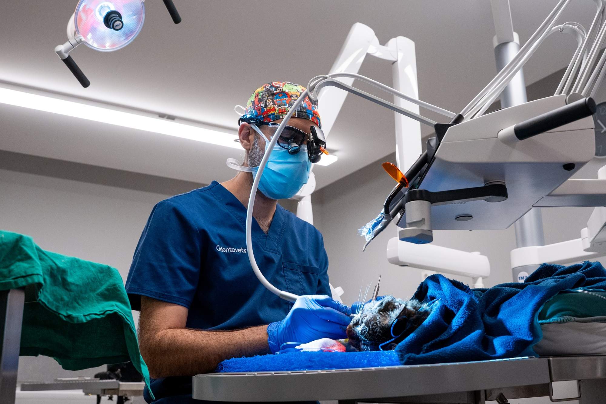 Odontovets, el centre que lidera la revolució dental veterinària