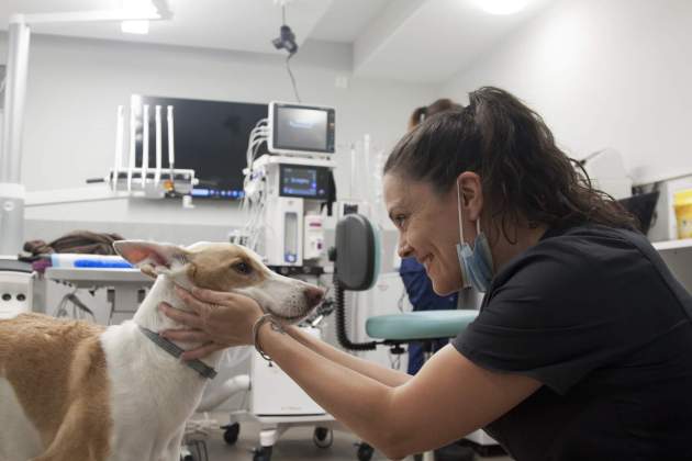 Quienes somos pie de pagina Carrousel 6