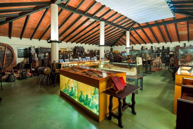 MUSEU CAVES 1 ok scaled MUSEU CAVES 1 ok scaled