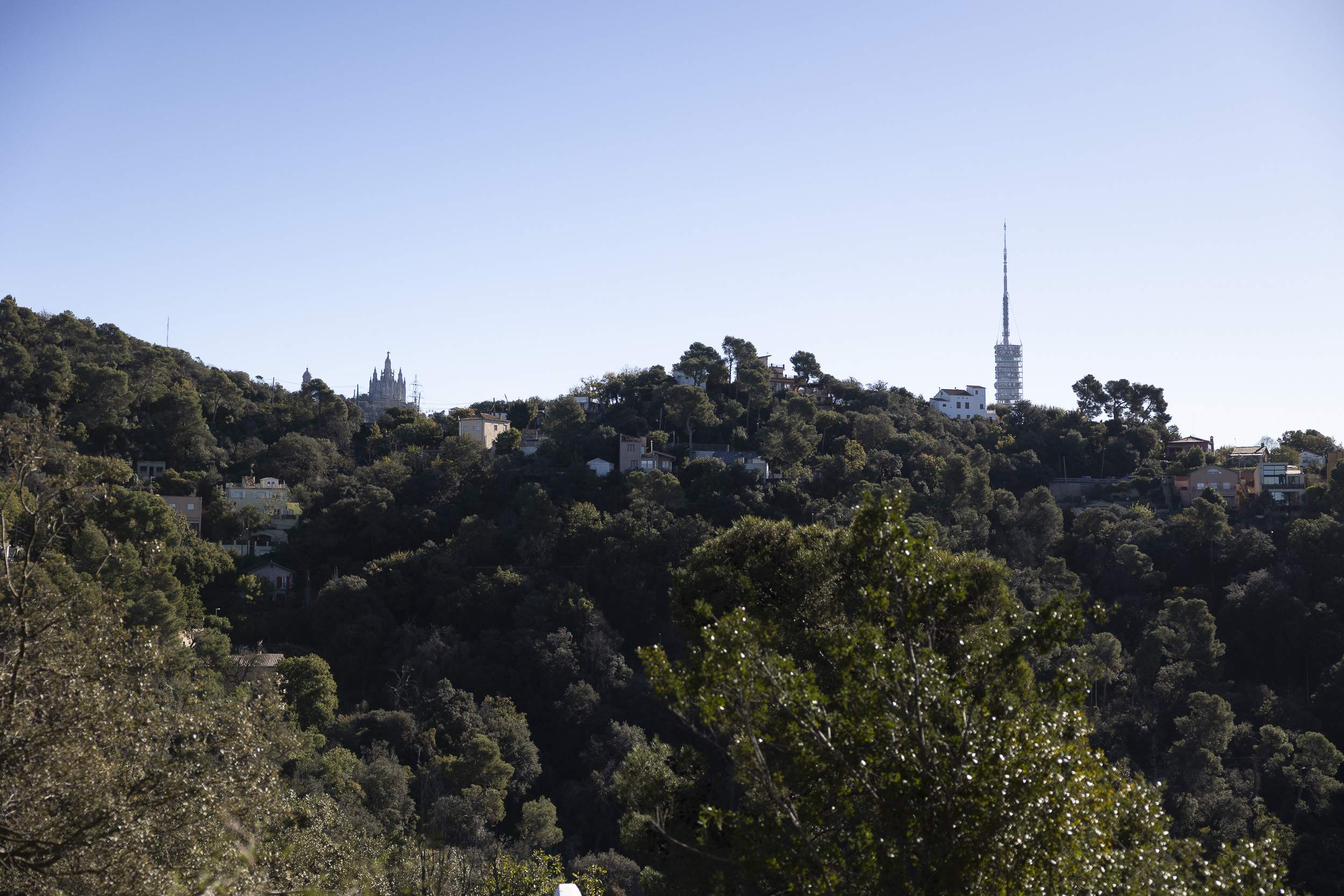 Los expertos coinciden en que de aquí 50 años, Collserola ya no será el mismo bosque de Barcelona