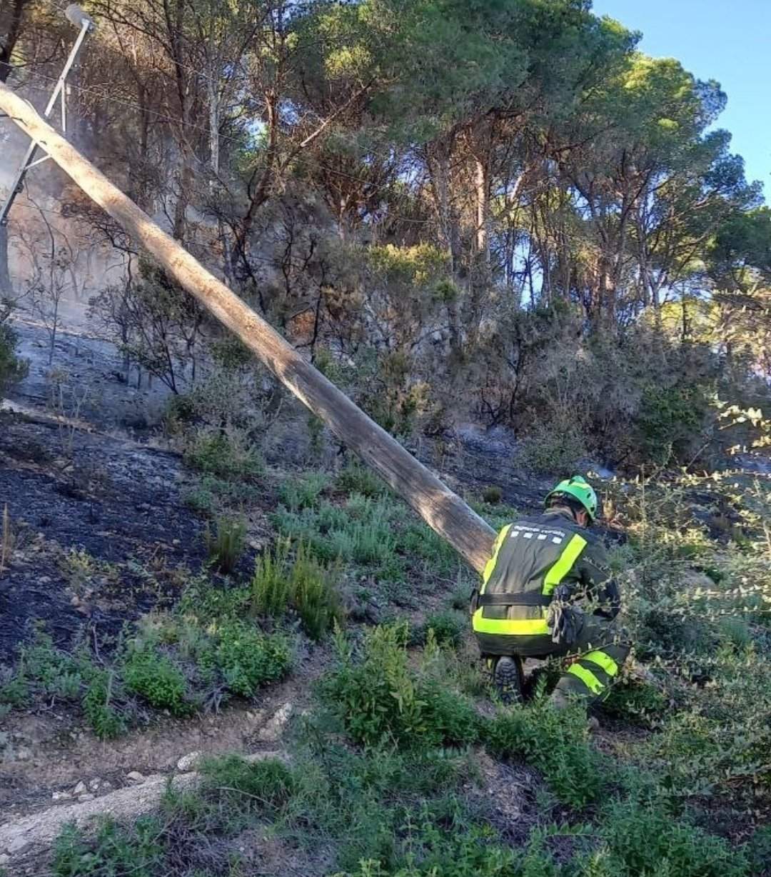 incendi forestal palamós (4)