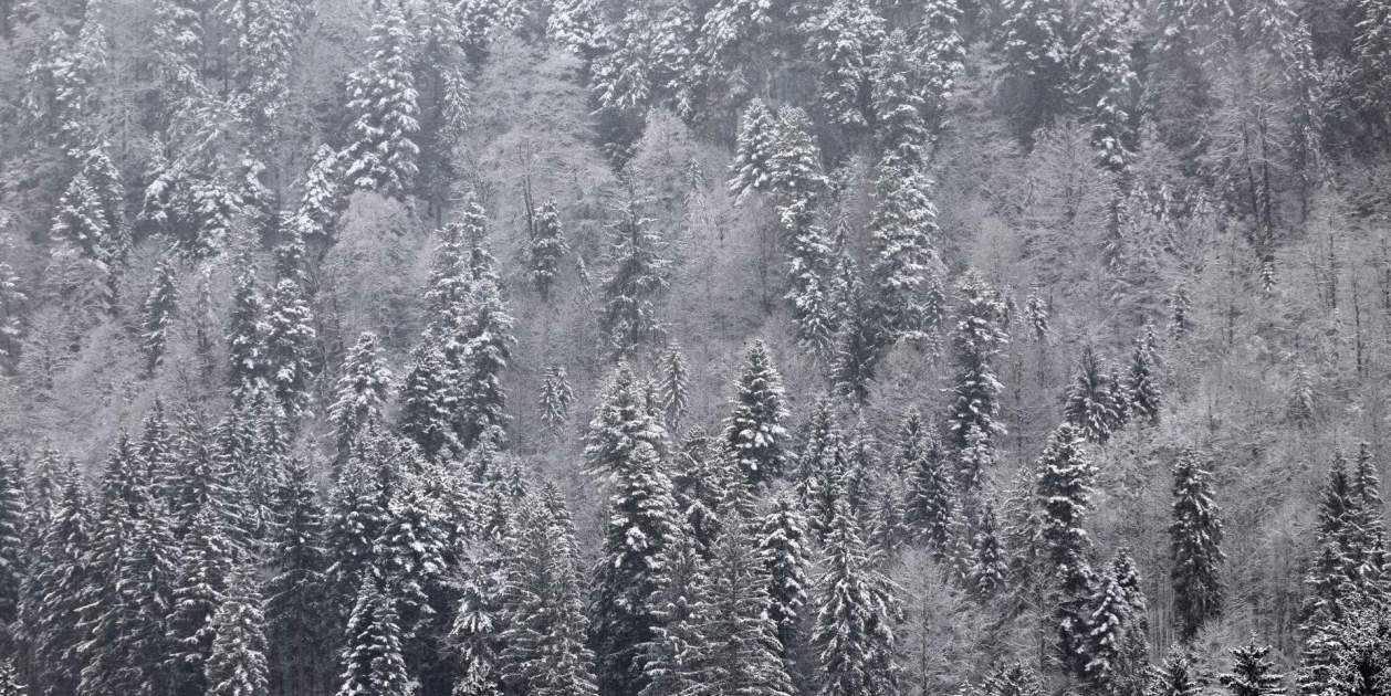 4. paisatge munich 4. paisatge munich