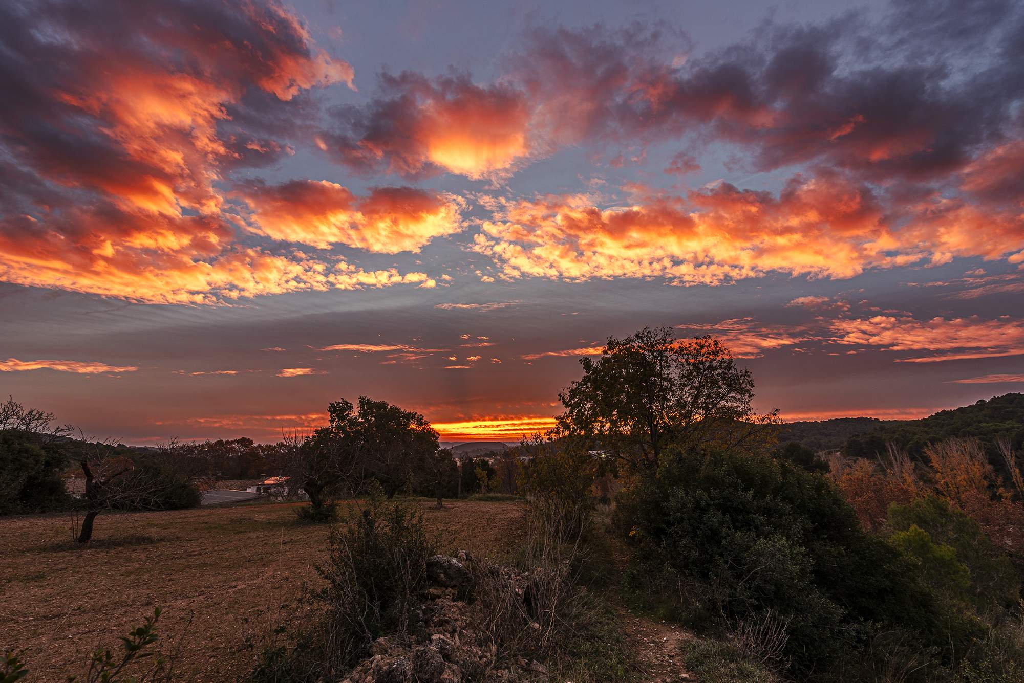 El invierno meteorológico llega a Catalunya esta semana con una montaña rusa de frentes fríos, lluvia y nieve