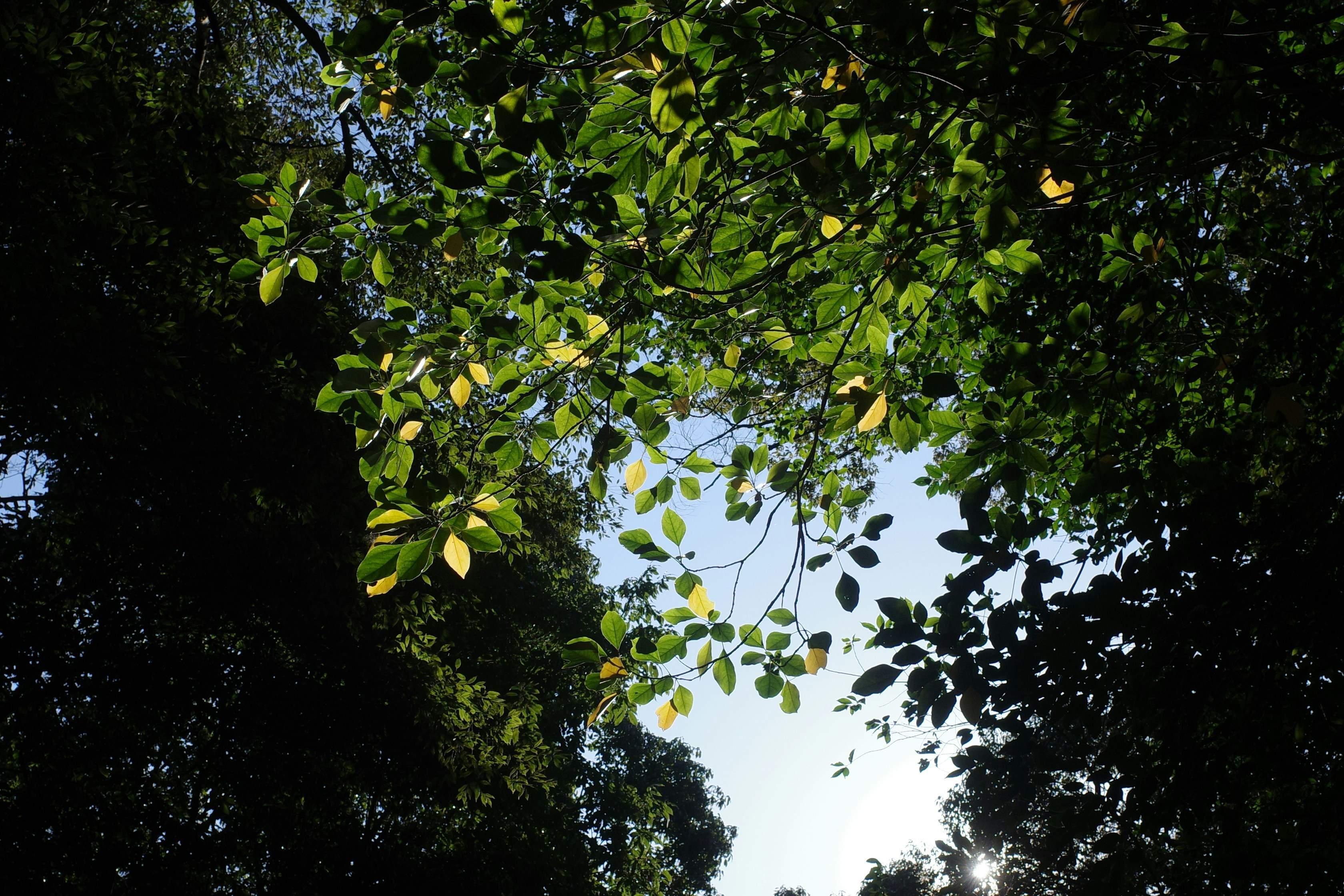 ibuki shuto lKfpKVMJBtE unsplash