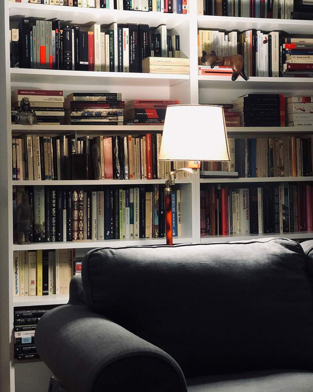 zona lectura sonsoles