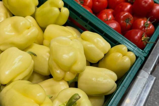 gessamicarames 1764518709 3777379174986550516 9293281440