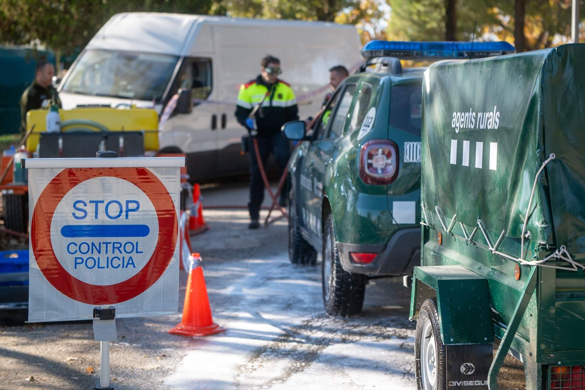 Confirmados siete nuevos casos de peste porcina en jabalíes en Collserola