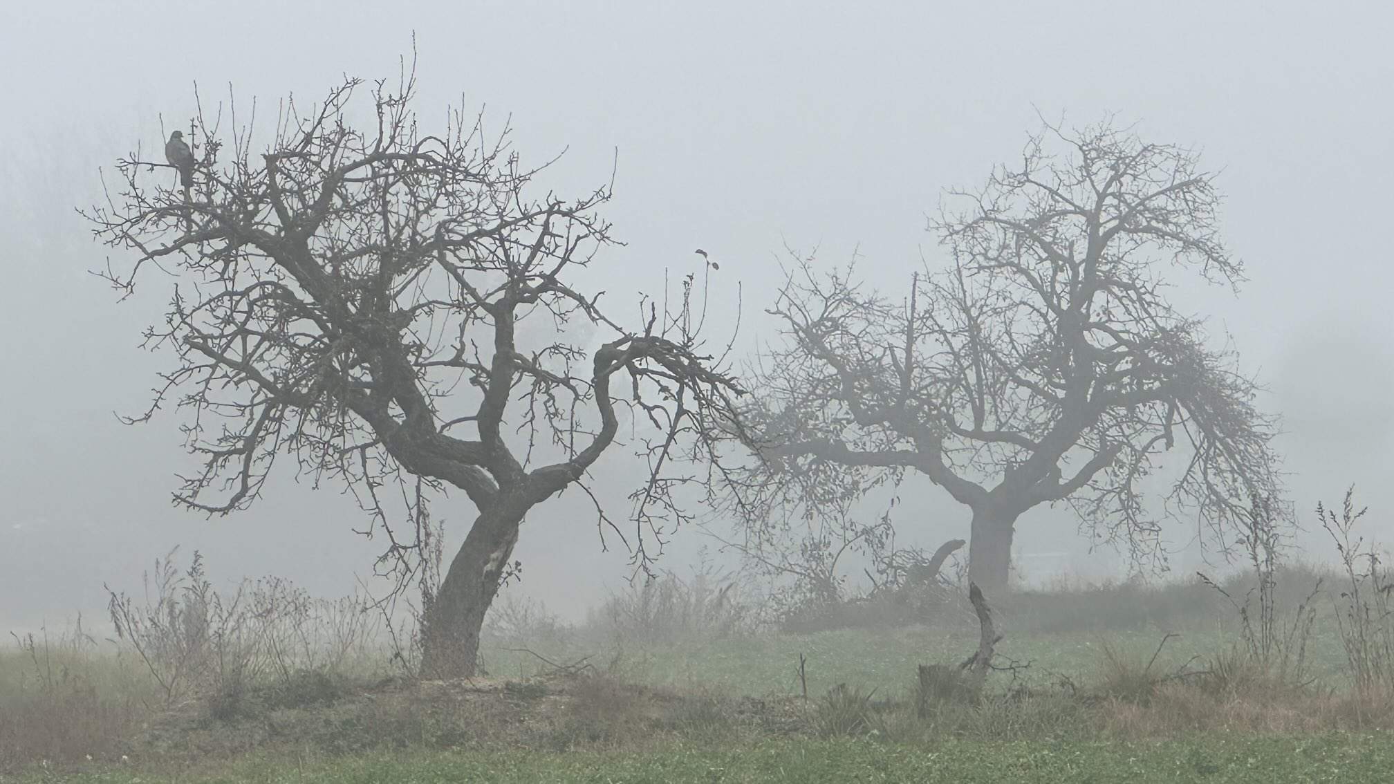 Se confirma la mala noticia, Catalunya entra en racha seca: ¿cuándo volverá la lluvia?