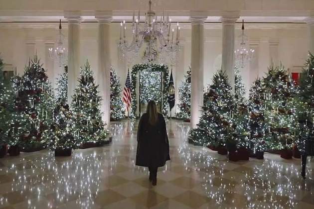 árboles casa blanca