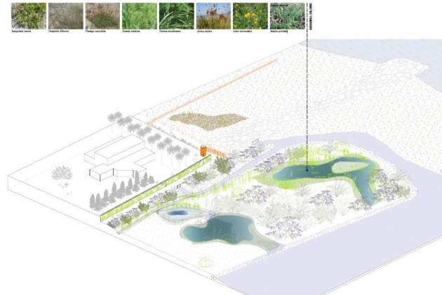 Bassa d'aigua salina al delta del Besòs AMB
