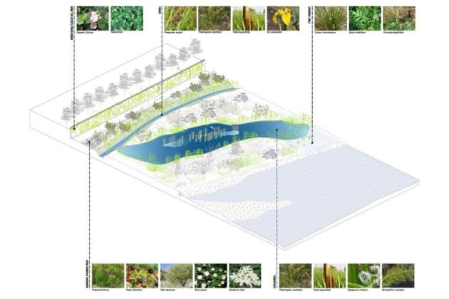 Nous aiguamolls al Besòs AMB