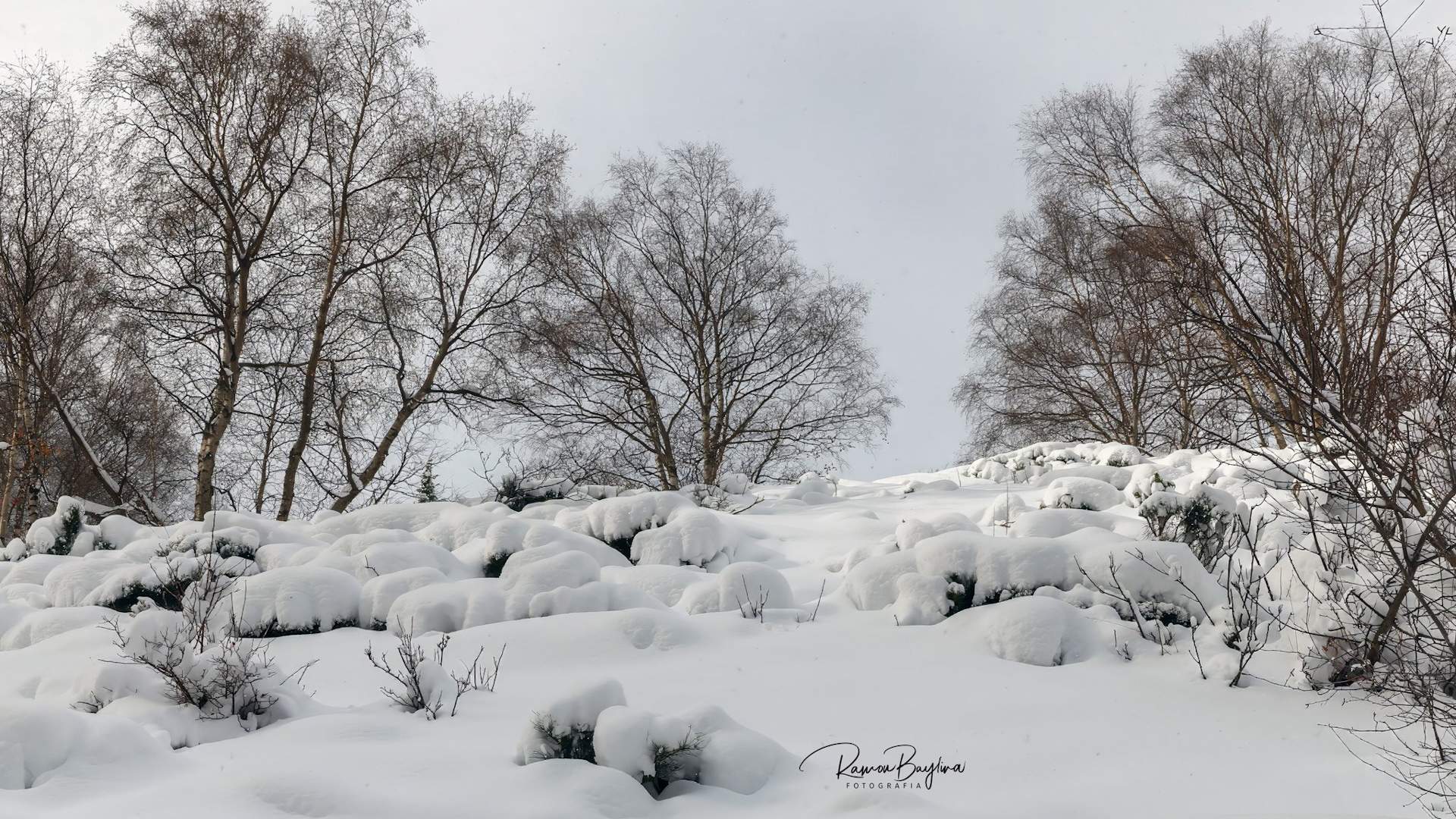 Arriba un front amb fred d'hivern a Catalunya i neu al Pirineu: on i quan nevarà?