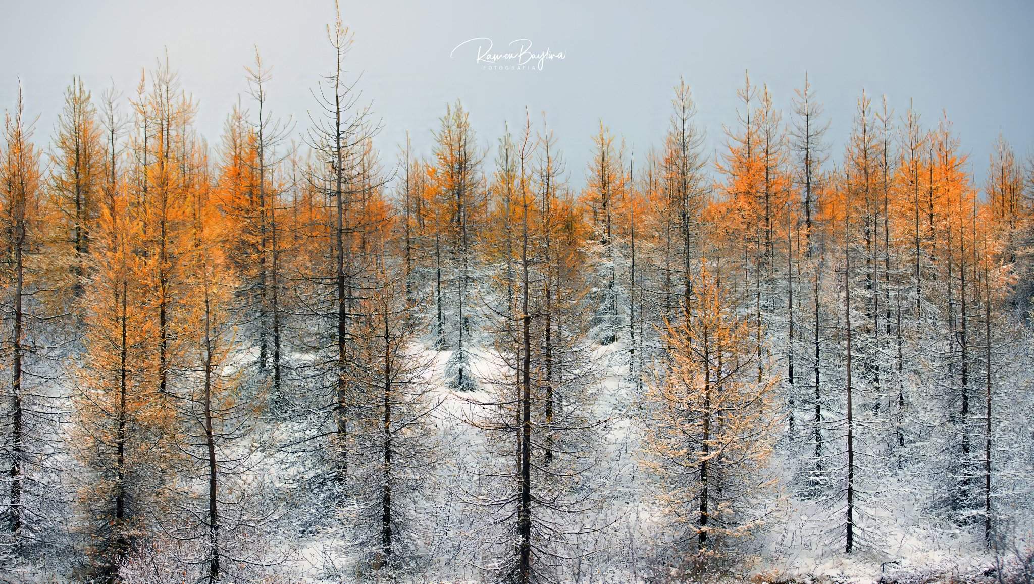 Giro del tiempo en Catalunya para el puente de la Purísima y novedades de temperatura