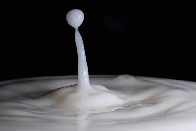 Leche merengada / Foto: Unsplash Leche merengada / Foto: Unsplash