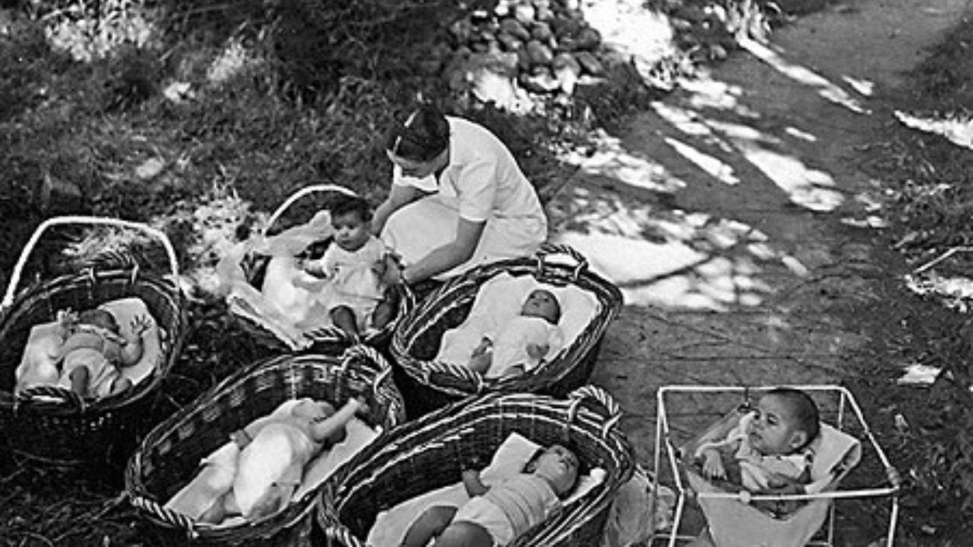 CARD WEB PUSH (1) CARD WEB PUSH (1)