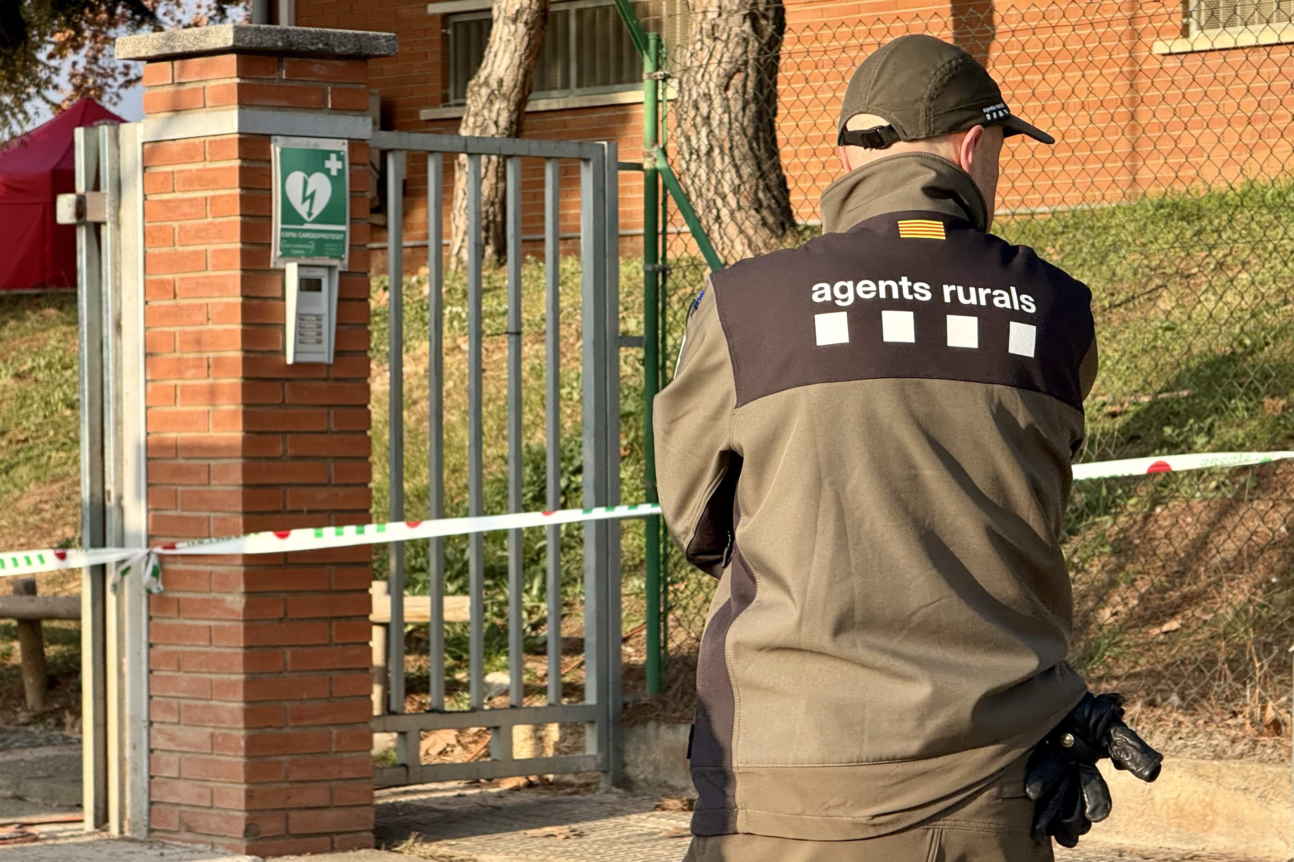 Los Agents Rurals refuerzan las barreras físicas para evitar movimientos de jabalíes en la zona cero
