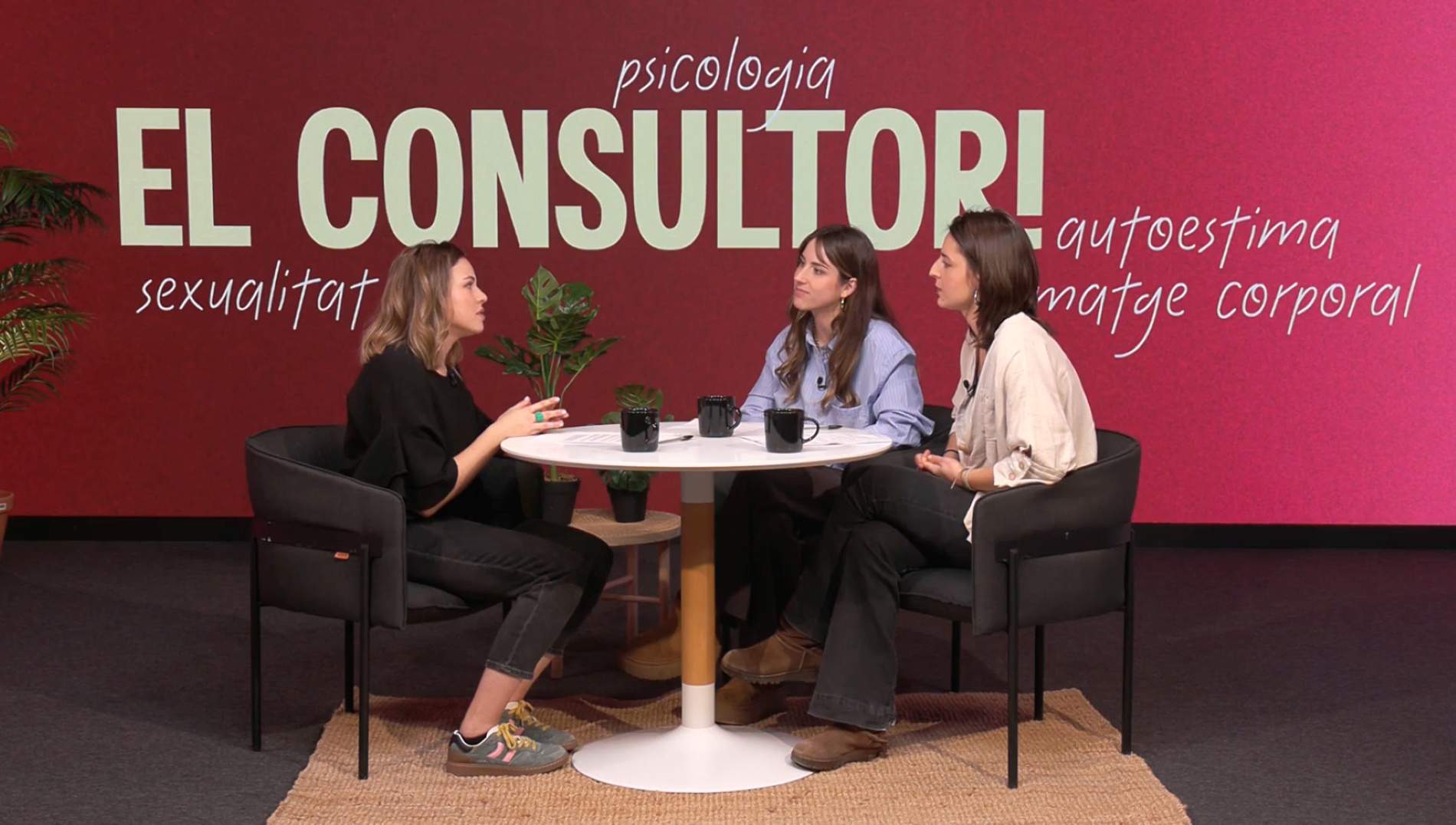 Una sesión de ElConsultori d'Adolescents.cat Una sesión de ElConsultori d'Adolescents.cat