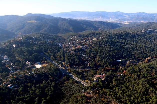 Collserola pesta porcina africana IRTA Collserola pesta porcina africana IRTA