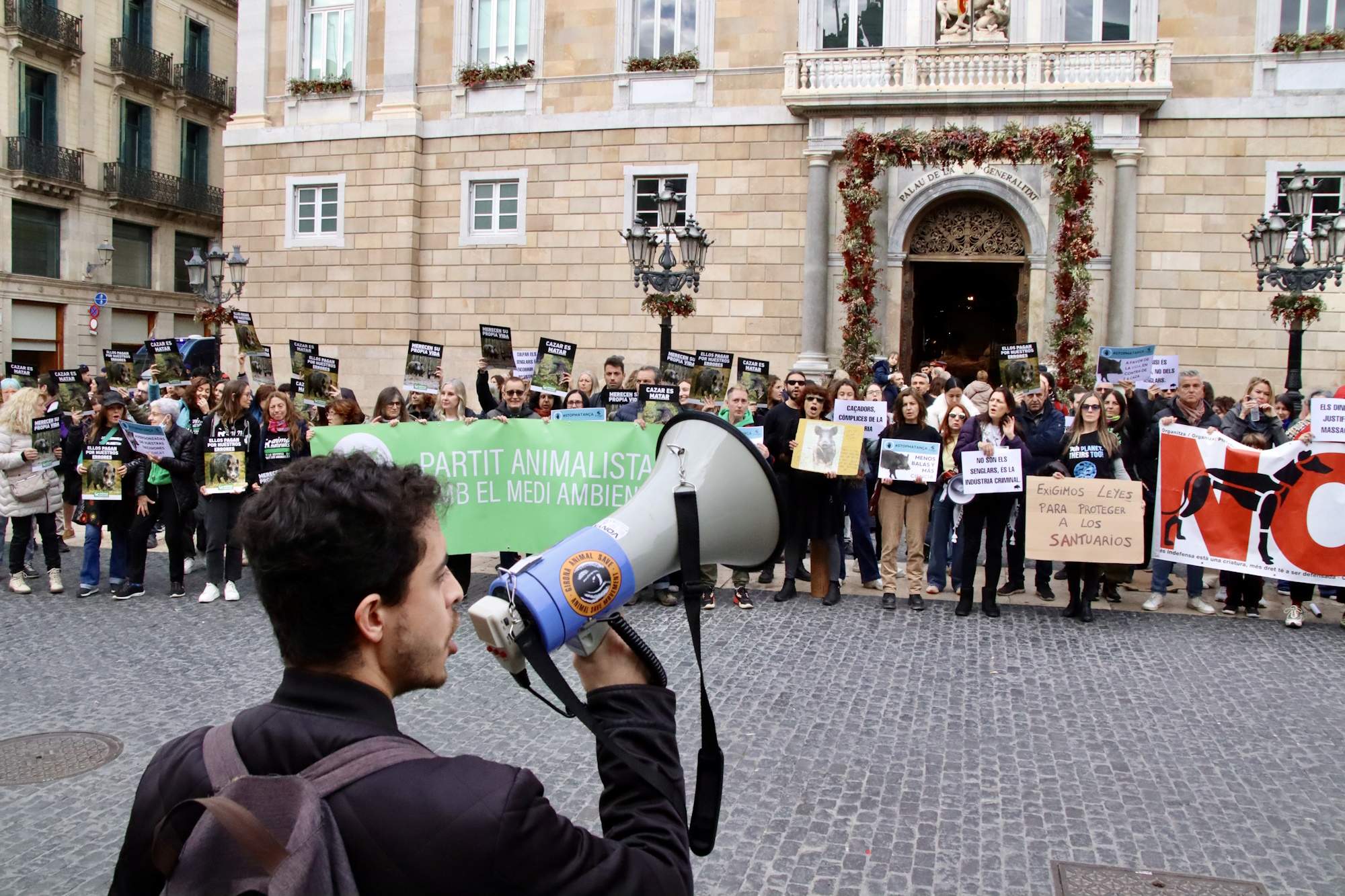 Protesta a Barcelona contra la “massacre” de senglars per l’esclat de la pesta porcina
