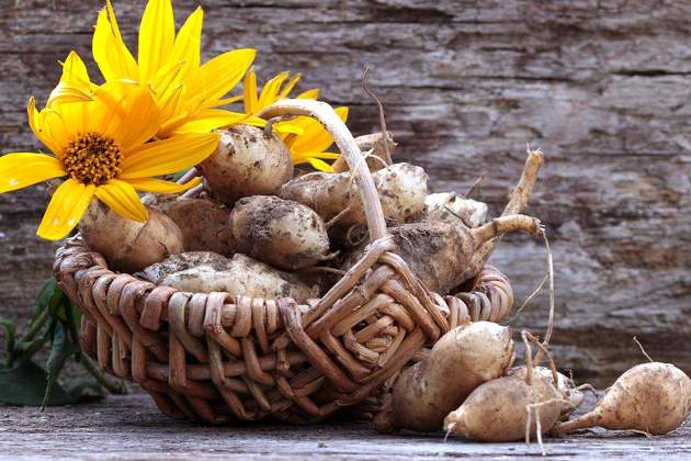 Tupinambur natural / Foto: Unsplash